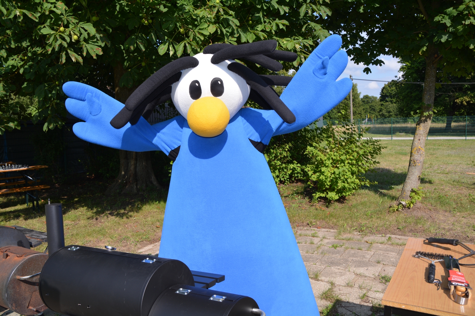Vorschau